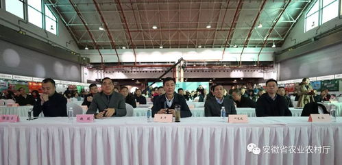 2019上海休閑農(nóng)業(yè)推介簽約活動(dòng)在滬成功舉辦，安徽名優(yōu)農(nóng)產(chǎn)品閃耀申城