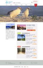 阿湛與ZCOOL 探索動漫設計的精彩世界